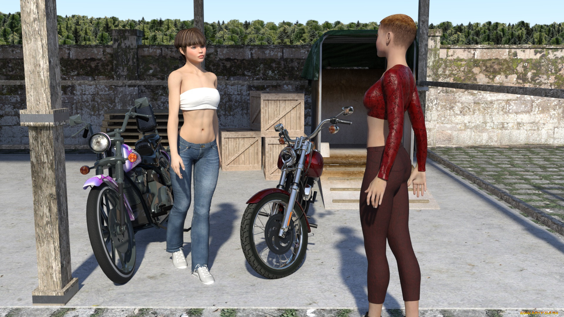 3 , -,  , people- car ,  moto, , , 